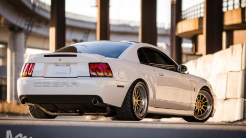 White Ford Mustang - CCW D110 Forged Wheels