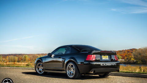 Black Ford Mustang Shelby Cobra - CCW SP505 Forged Wheels