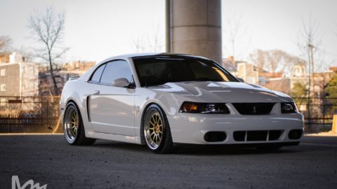White Ford Mustang IV Gen - CCW D110 Forged Wheels - Gold