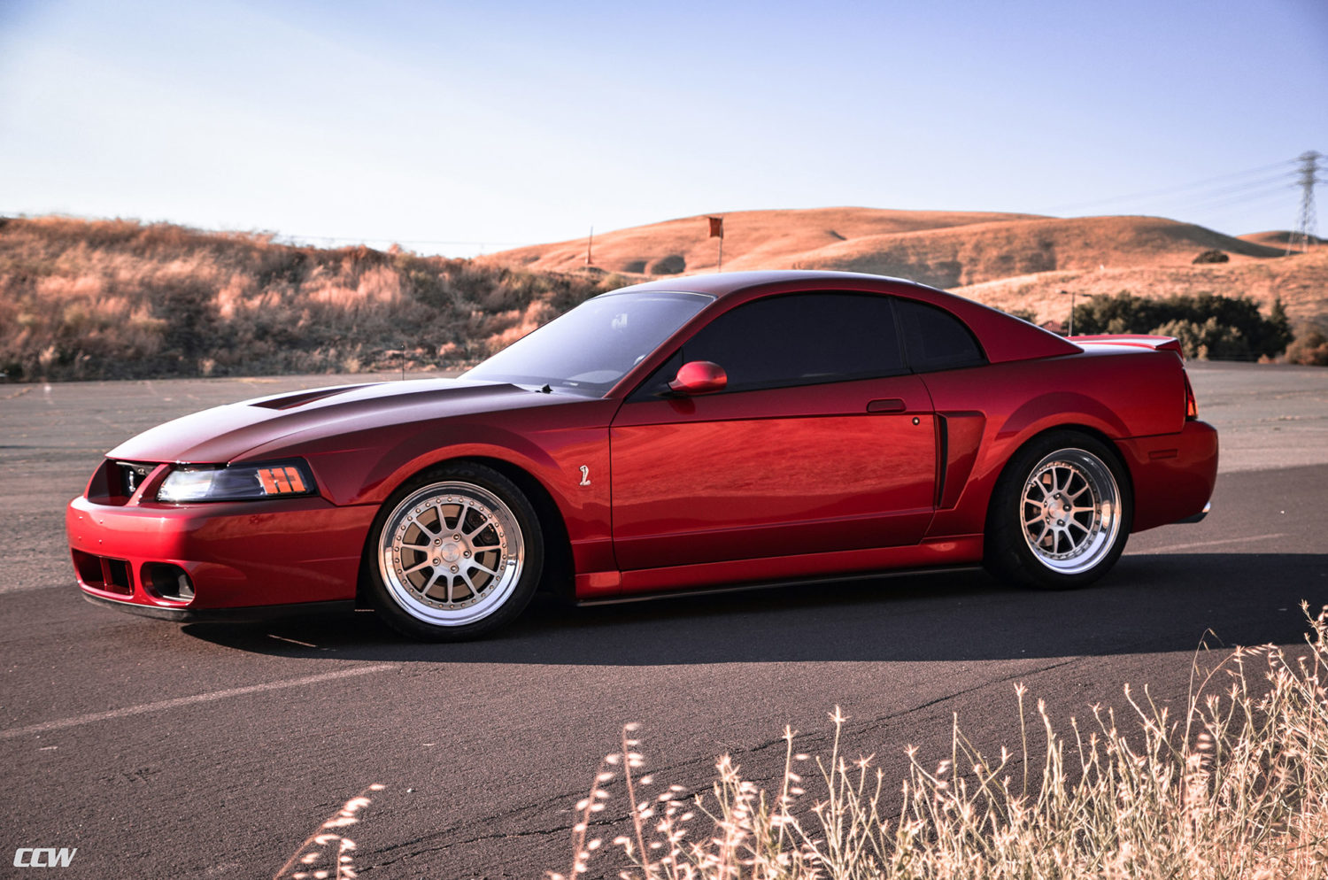 Red Ford Mustang 4th Gen 03 SVT Cobra Terminator - CCW D110 Wheels in ...